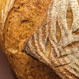pane-grani-duri-Brisa (2)